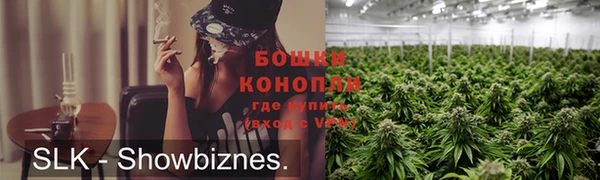 ПСИЛОЦИБИНОВЫЕ ГРИБЫ Бородино
