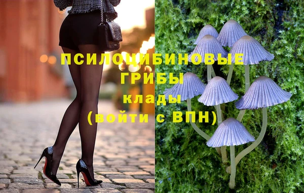 ПСИЛОЦИБИНОВЫЕ ГРИБЫ Бородино