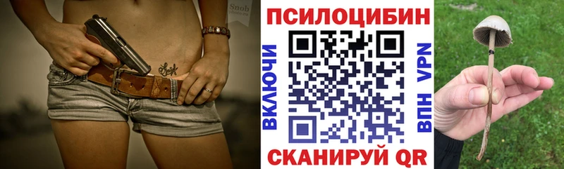 Купить закладки  Дзержинский  Галлюциногенные грибы GOLDEN TEACHER 