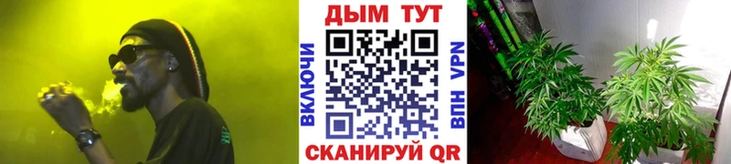 Купить где  Дзержинский  Марихуана MAZAR 
